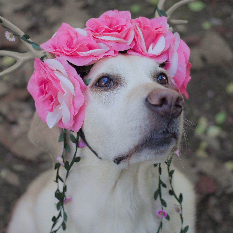 146. Not riding shotgun&nbsp;today